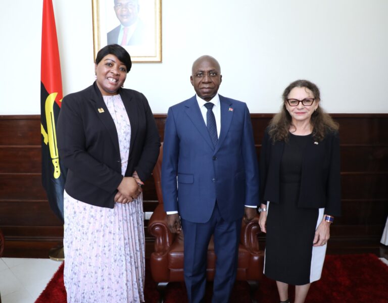 MEETING WITH THE MINISTER FOR EXTERNAL RELATIONS ON THE AFRICA-FRANCE SUMMIT